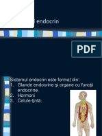 Sistemul Endocrin Final