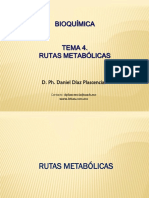 PRESENTACION-RUTAS-METABOLICAS.pdf