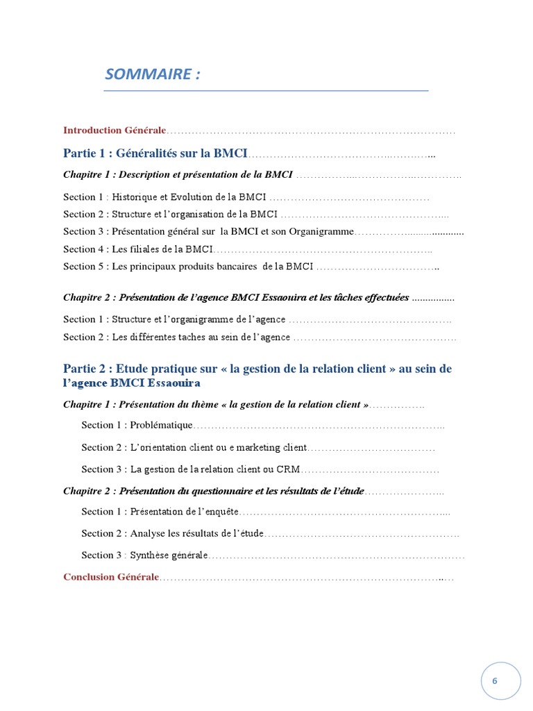 Rapport de stage de fin d'étude.docx  Visa Inc.  Banques
