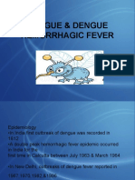 Dengue & Dengue Hemorrhagic Fever