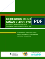 19-dhpn-estandares_de_derechos_humanos.pdf