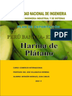 Exportación de Plátanos y Derivados