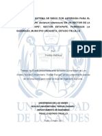209021160-TESIS-DISENO-AGRONOMICO.pdf