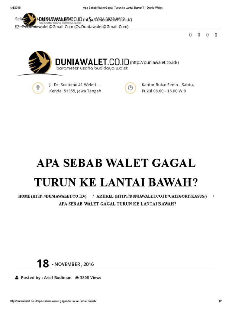 Apa Sebab Walet Gagal Turun Ke Lantai Bawah Dunia Walet