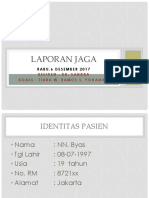 Lapjag 061217 & 101217