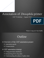 Annotation of Drosophila primer