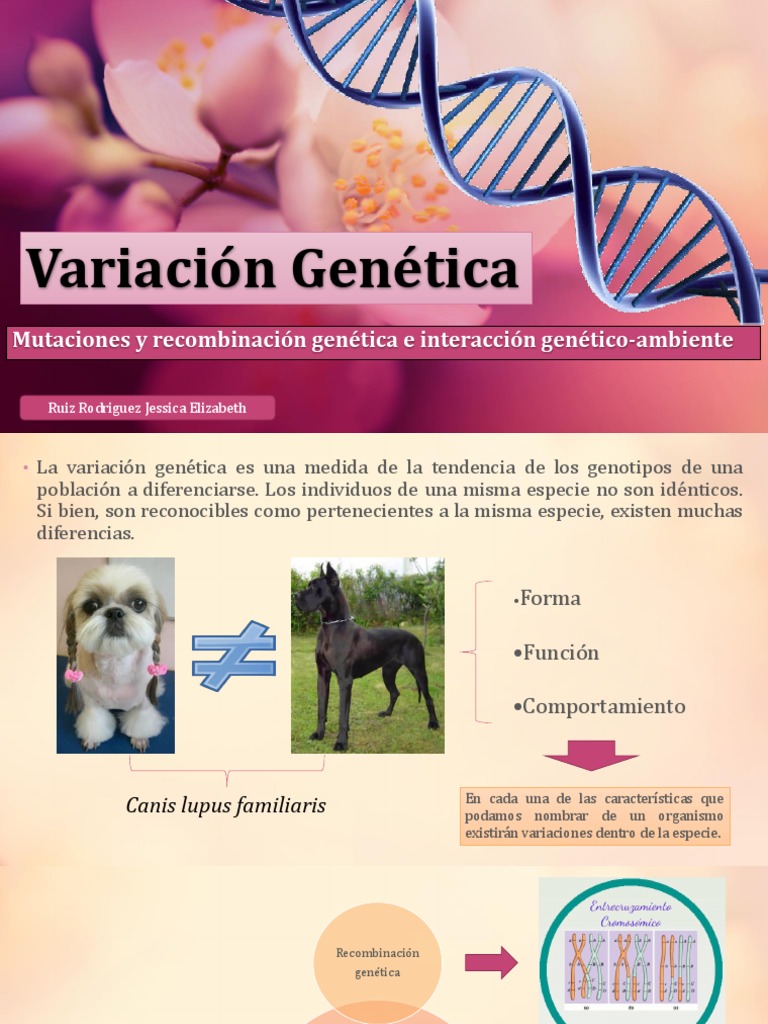 Ejemplos de Variación Genética Humana | PDF | Mutación | Genética