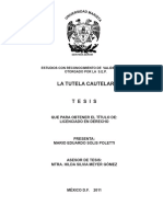 1 La Tutela Cautelar PDF