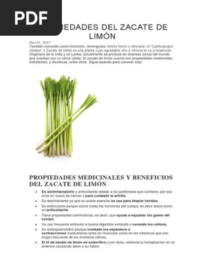 Propiedades Del Zacate De Limon Bienestar Alimentos