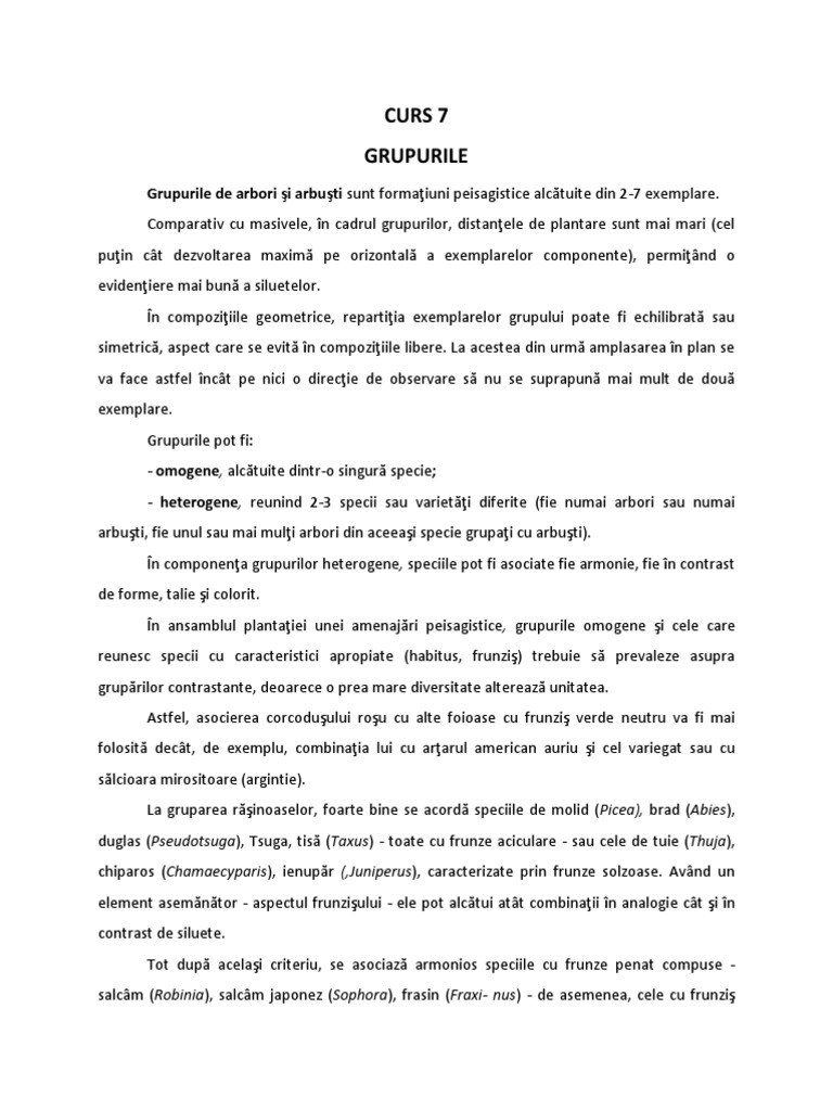 Curs 7 | PDF