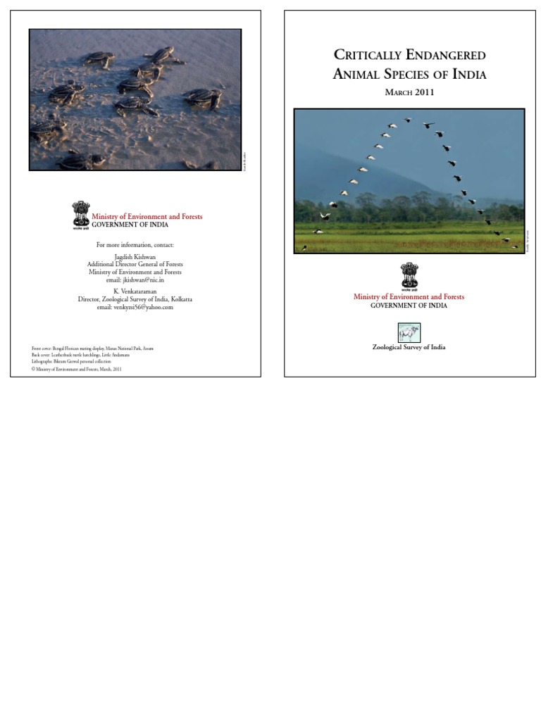 Critically Endangered Animal Species of India PDF | PDF | Conservation ...