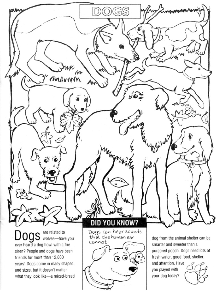 Download All Animal Coloring Book.pdf