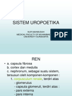 Sistem Uropoetikadr. Nur