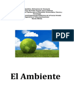 Informe Del Ambiente (2) DEIBI