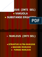 5. NUKLEUS