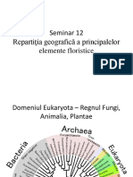 Sem 12 Flora