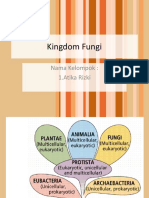 Mikrovir Fungi