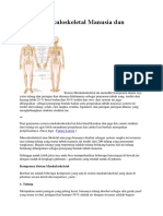 Sistem Muskuloskeletal Manusia Dan Fungsinya