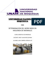 Determinacion Del Work Index en Molienda de Mienrales