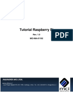 213828486-Raspberry.pdf