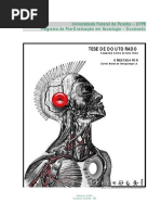 O_sucesso_do_desemprego.pdf