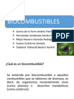 Biocombustibles_32576.pdf