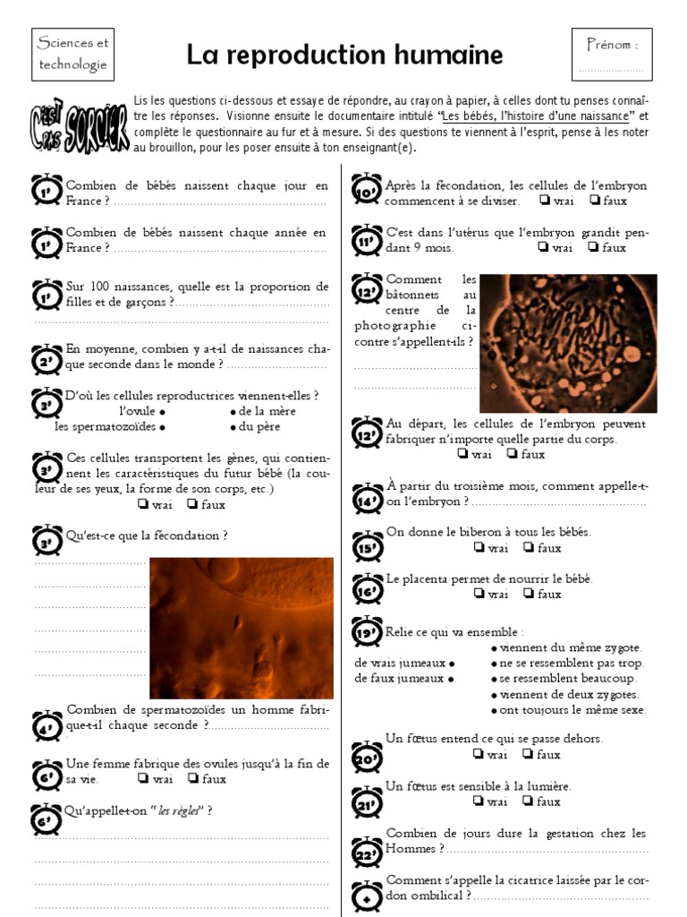 C Est Pas Sorcier Questionnaire Corrigé C'Est Pas Sorcier 2101 - La Reproduction Humaine | Jumeau | Processus