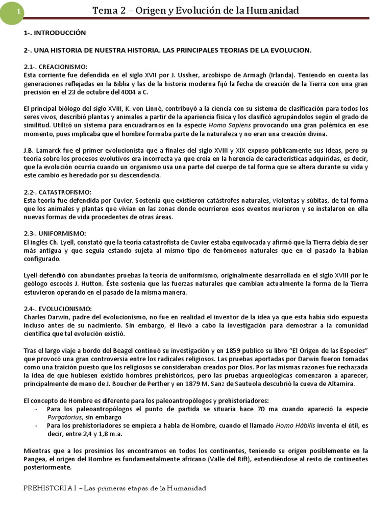 Tema 2 - Origen y Evolución de La Humanidad PDF | PDF | neanderthal | Homo