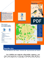 GUIA - AVES COMUNES MADRID.pdf