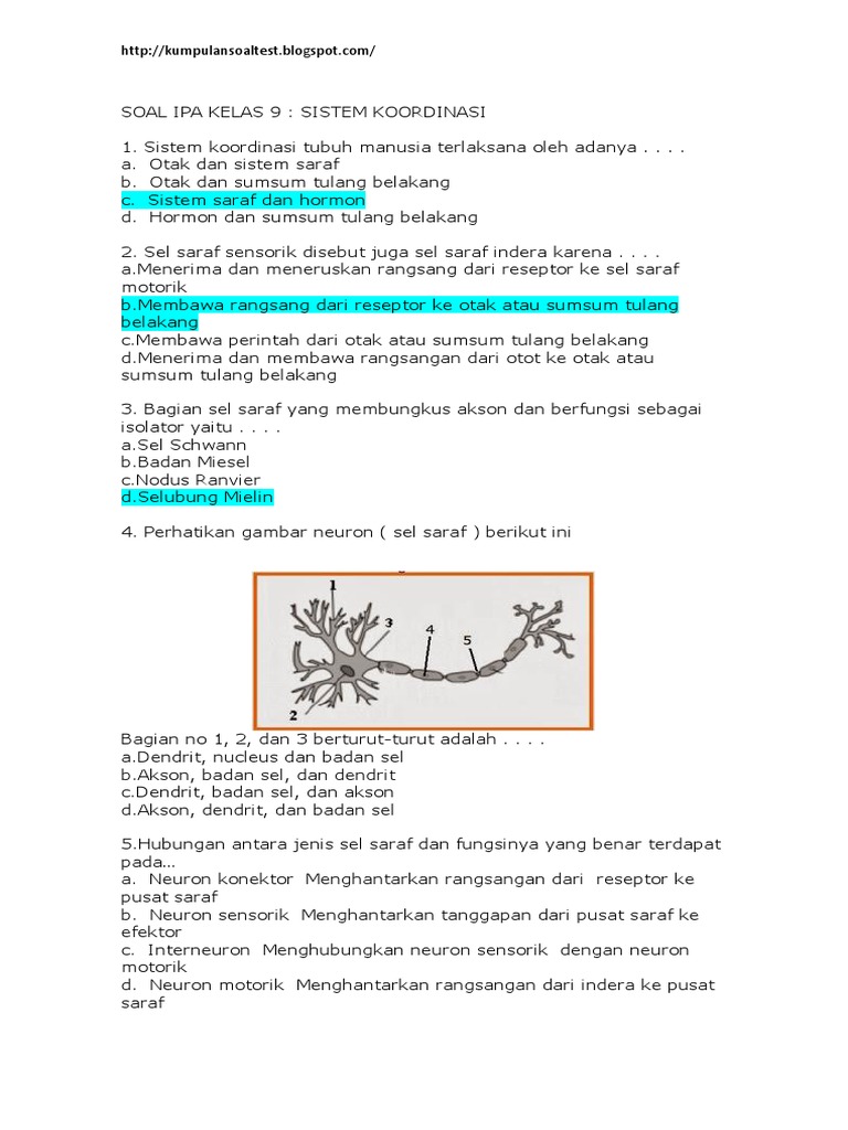 35++ Contoh soal sistem saraf smp kelas 9 ideas