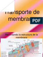 Transporte de Membrana