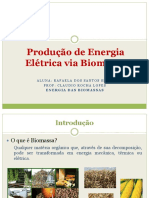 Produção de Energia Elétrica Via Biomassa