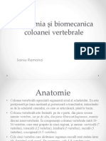 Anatomia Si Biomecanica Coloanei Vertebrale