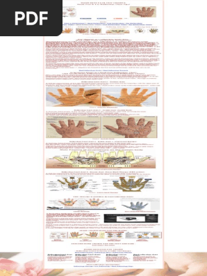 Reflexology Charts_ Hand, Foot & Ear Reflexology Chart Tips