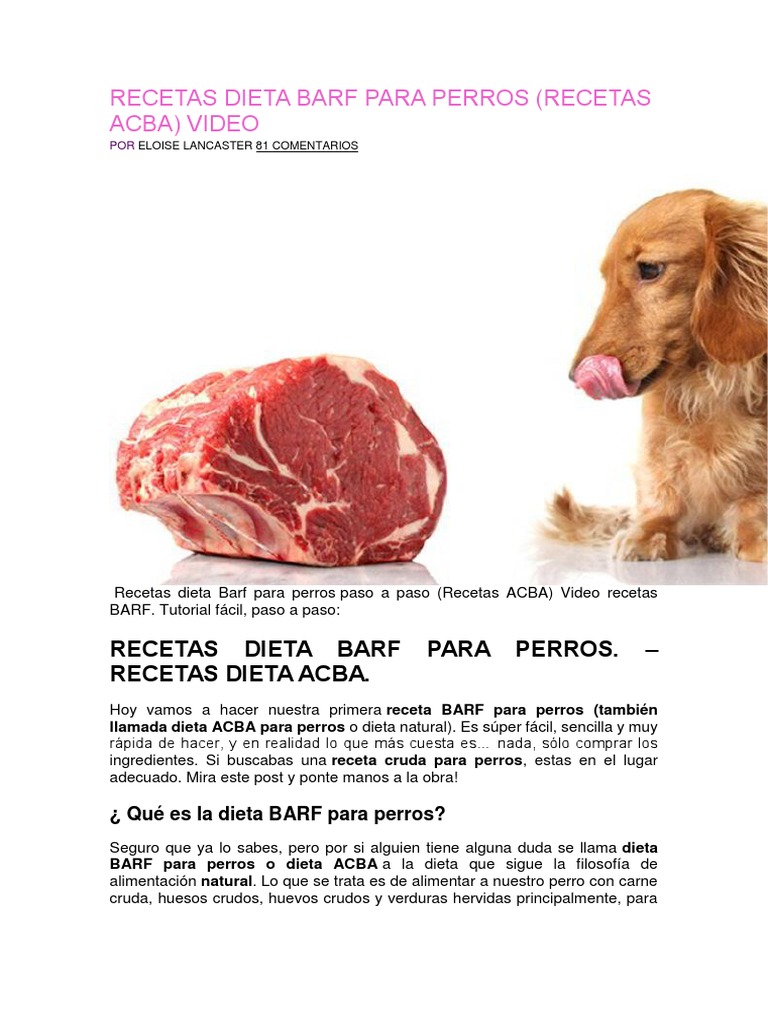 Recetas Dieta Barf para Perros | PDF | Perros | La alimentación animal