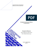 Energia Elétrica Através Da Biomassa