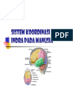 Sistem Koordinasi Dan Indra Pada Manusia1 PDF