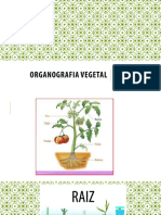 Biologia Vegetal 2 Organos