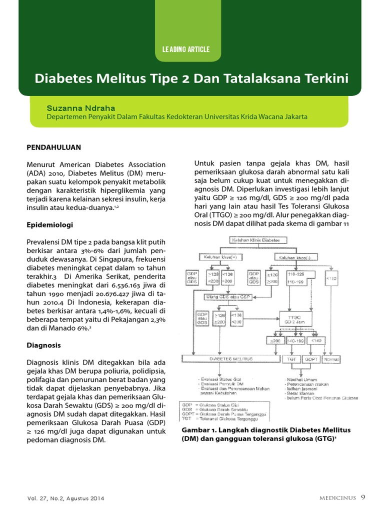 Diabetes Tipe 2 Pdf Usu