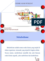 Metabolisme Purin Dan Pirimidin 3