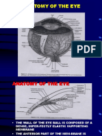 Anatomy Fisiology