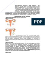 Fase Menstruasi