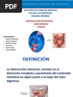 Obstruccion Intestinal Por Adherencias y Volvulos f