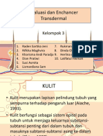 Evaluasi Dan Enchancer Transdrmal