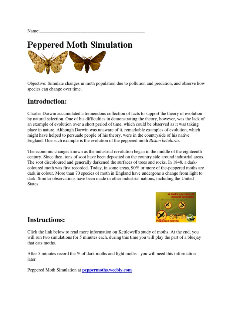 Peppered Moth Simulation Evolutionary Biology Biological Evolution