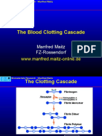 Blood Clotting Cascade