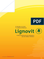 Lignovit Folder 2012 Rumaenisch ANSICHT PDF