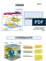 Bio Gen Teoria 7 2017 Citoesqueleto