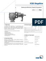 Megaflow PDF