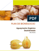 Plan Aguaymanto Villa Andina FINALIZADO 2013